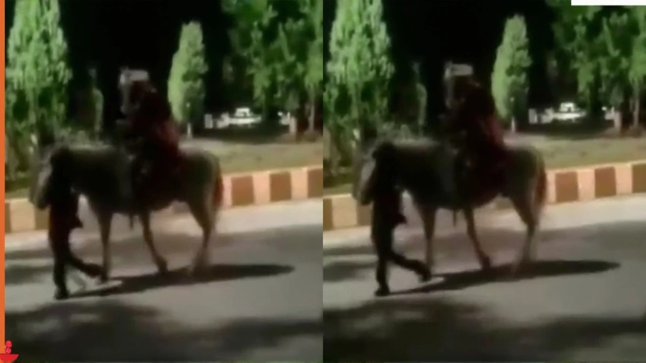 Viral Video: अकेले दूल्हा पहुंचा दुल्हन को लाने, बीच रास्ते में हुआ अनोखा हादसा